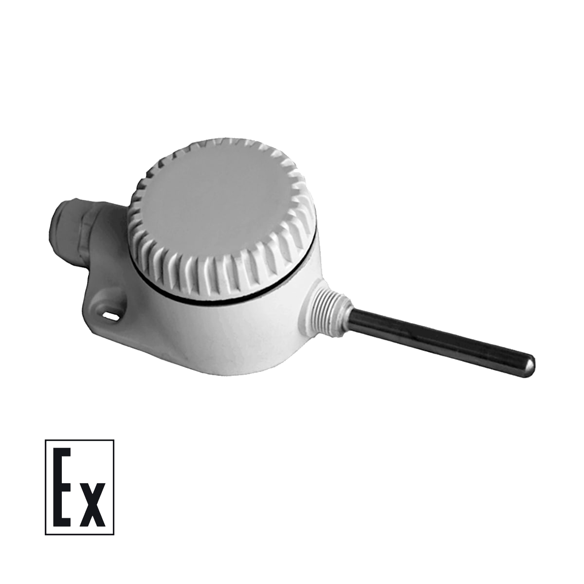 ДТС125Л-РТ100.В4.60.ЕХI-Т1 настенные датчики температуры EXIA